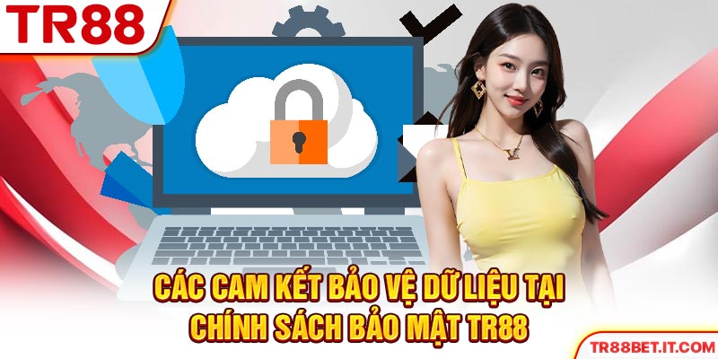 Các cam kết bảo vệ dữ liệu tại chính sách bảo mật TR88